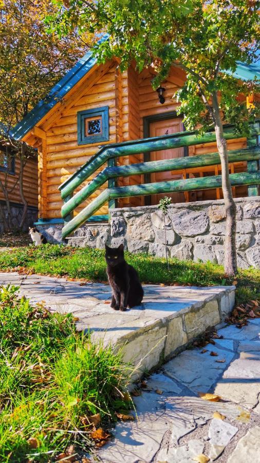 Kozak Apartments & Restaurant Mojkovac Bagian luar foto