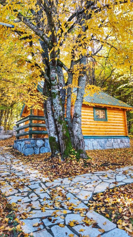 Kozak Apartments & Restaurant Mojkovac Bagian luar foto